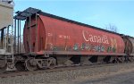 CP 607838