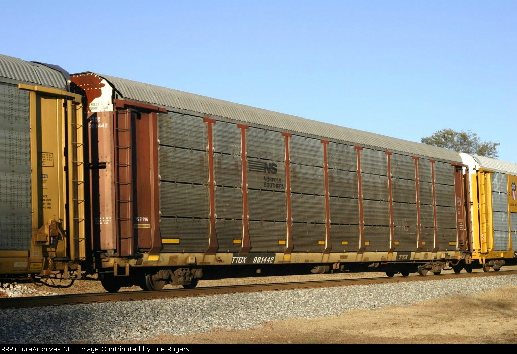 TTGX 981442
