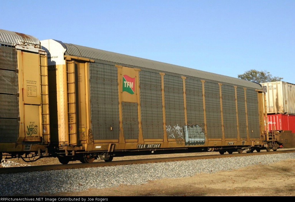 TTGX 987368