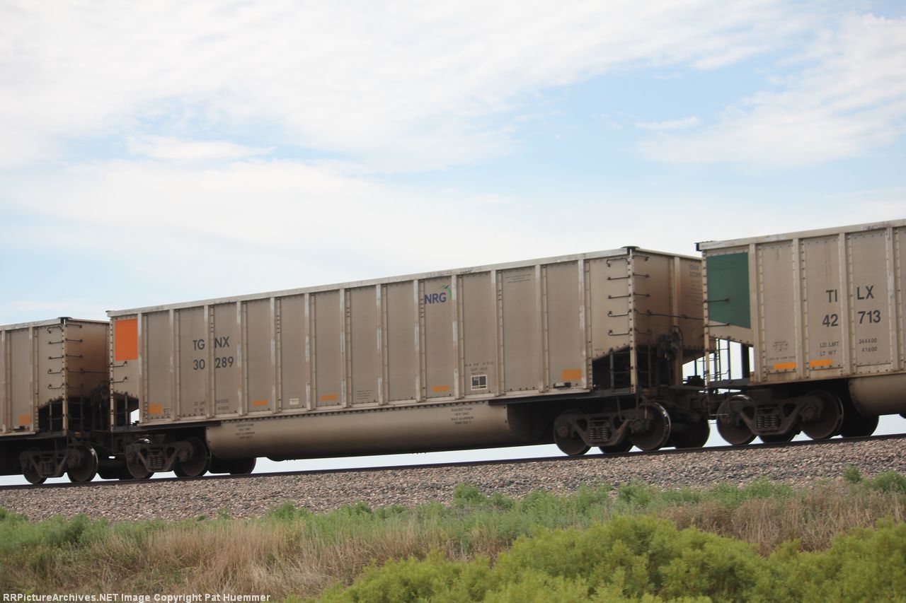 TGNX 30289