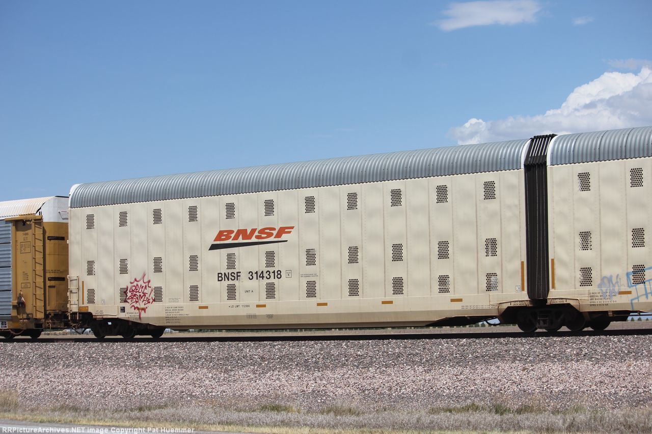 BNSF 314318