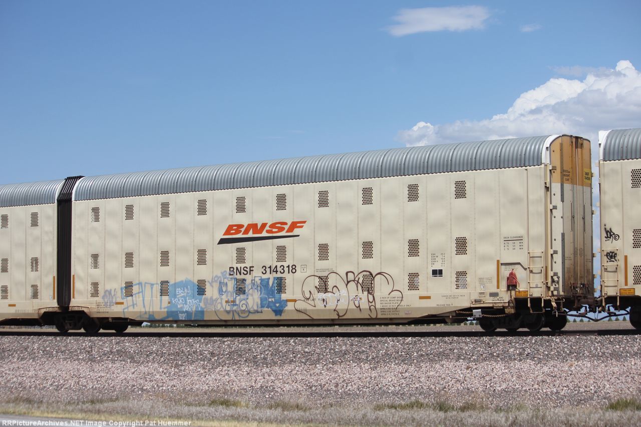 BNSF 314318