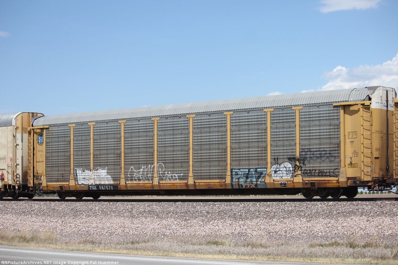 TTGX 987076