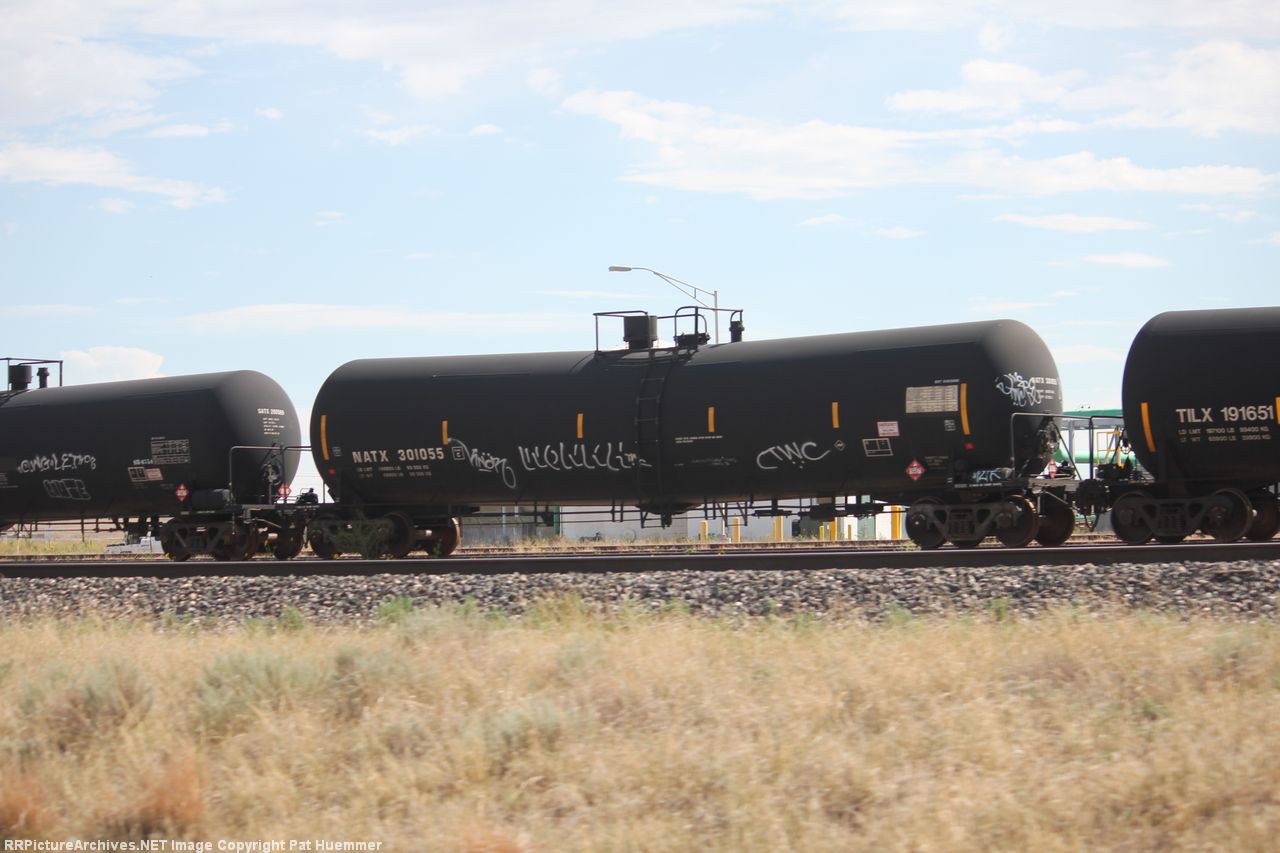 NATX 301055