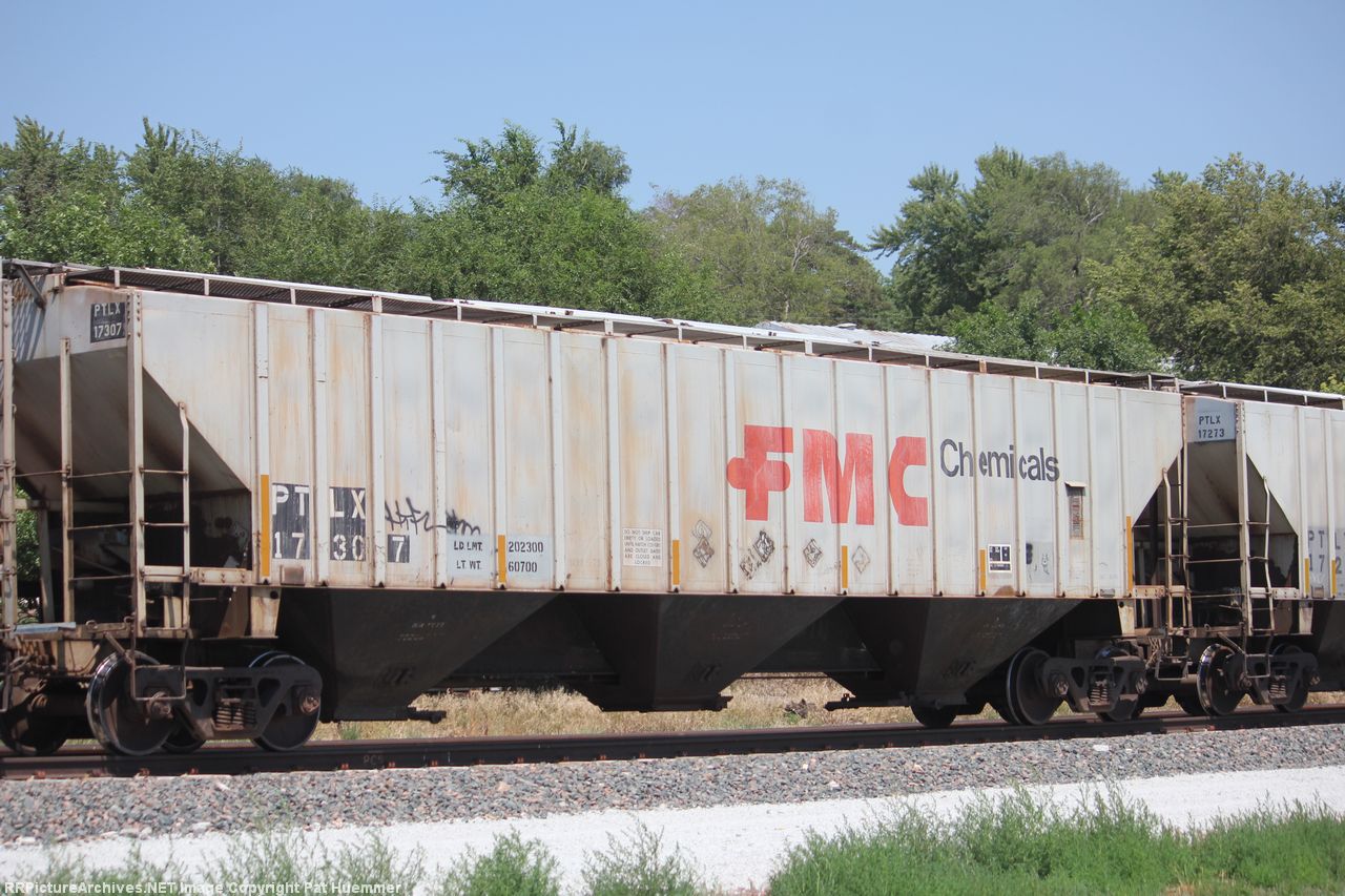 PTLX 17307