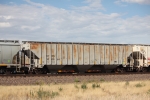 CTRN 100864