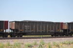 CWEX 1255
