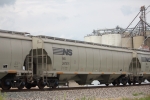NS 297575