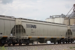 NS 296977