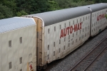 AOK 501537