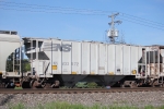 NS 233572