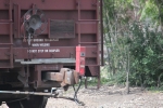 NS 71194