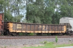 GONX 340294