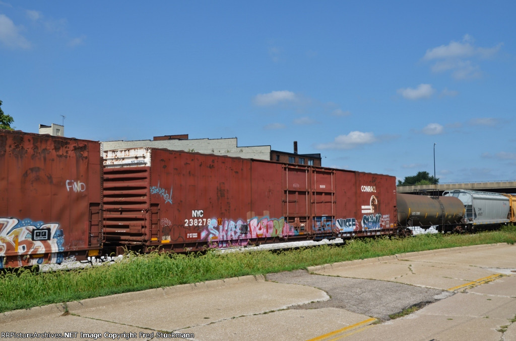 NYC 238278 is new here.