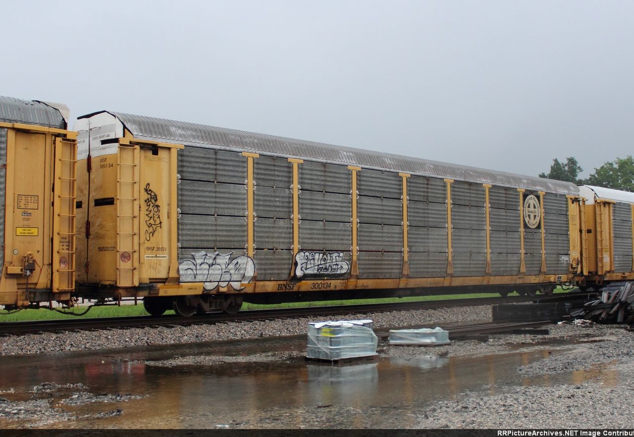 BNSF 300134