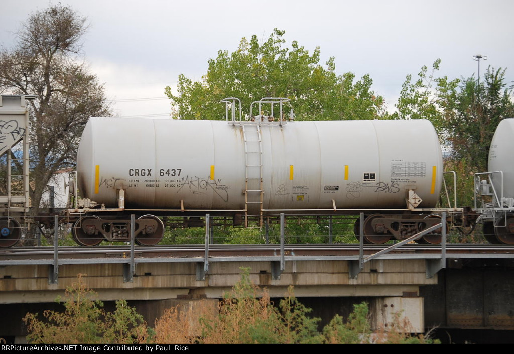CRGX 6437
