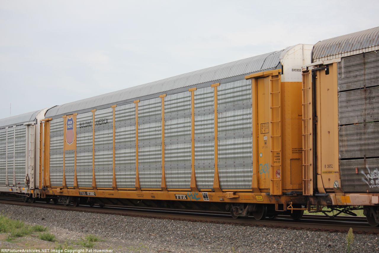 TTGX 973882