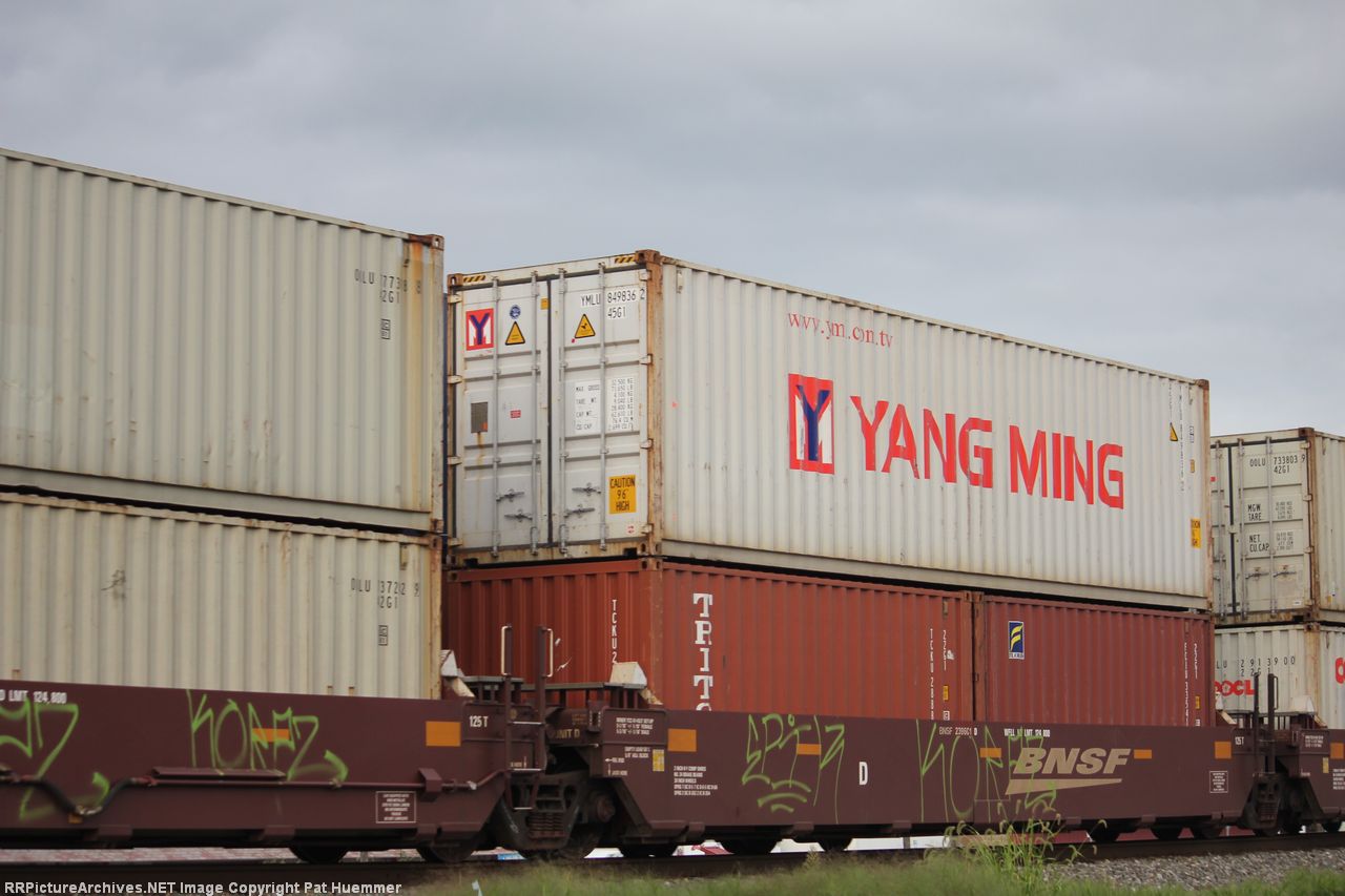 BNSF 239661