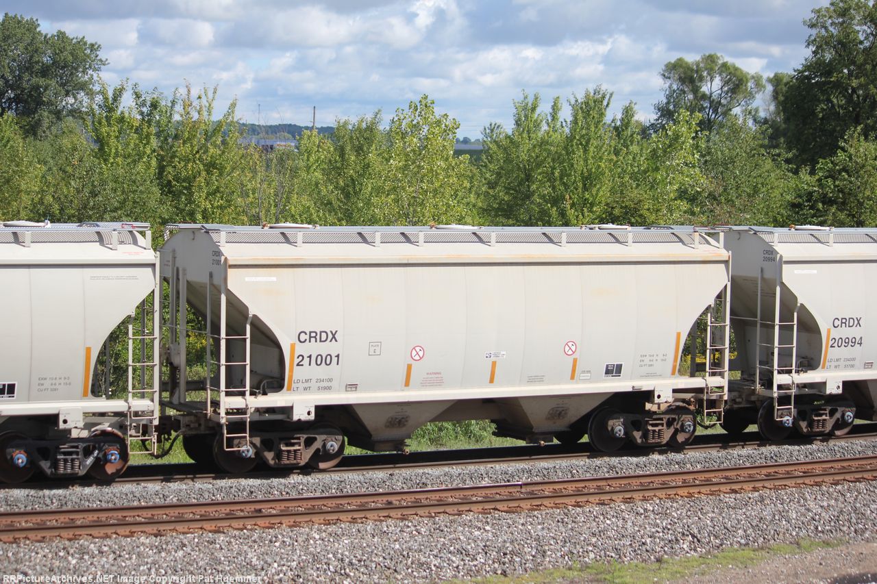 CRDX 21001