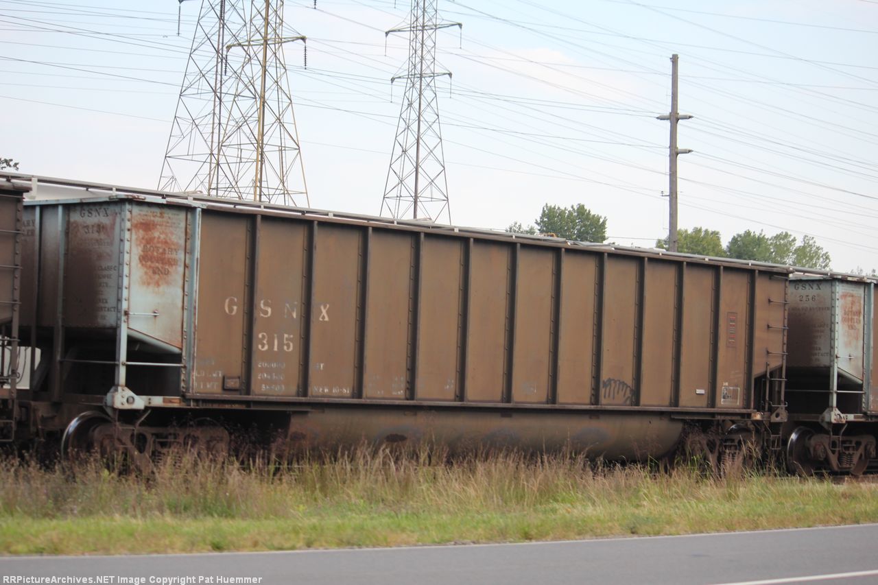 GSNX 315