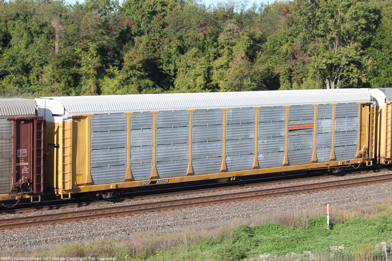 BNSF 300229