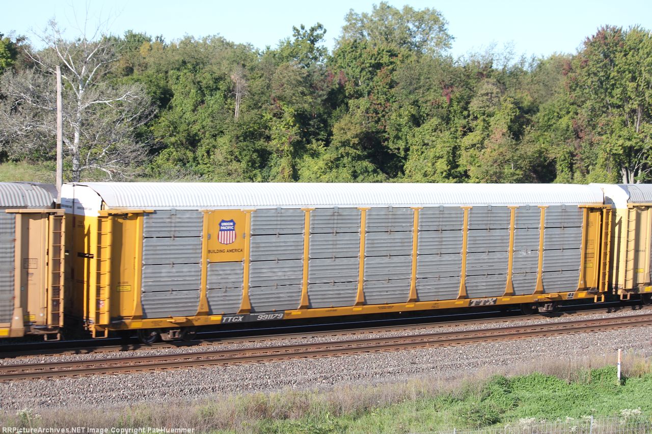 TTGX 991179