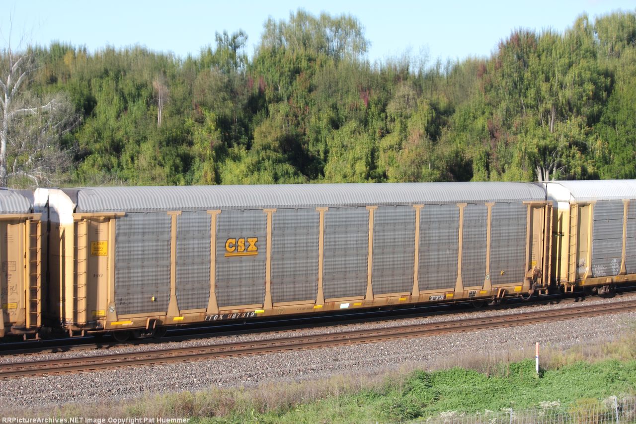 TTGX 987919