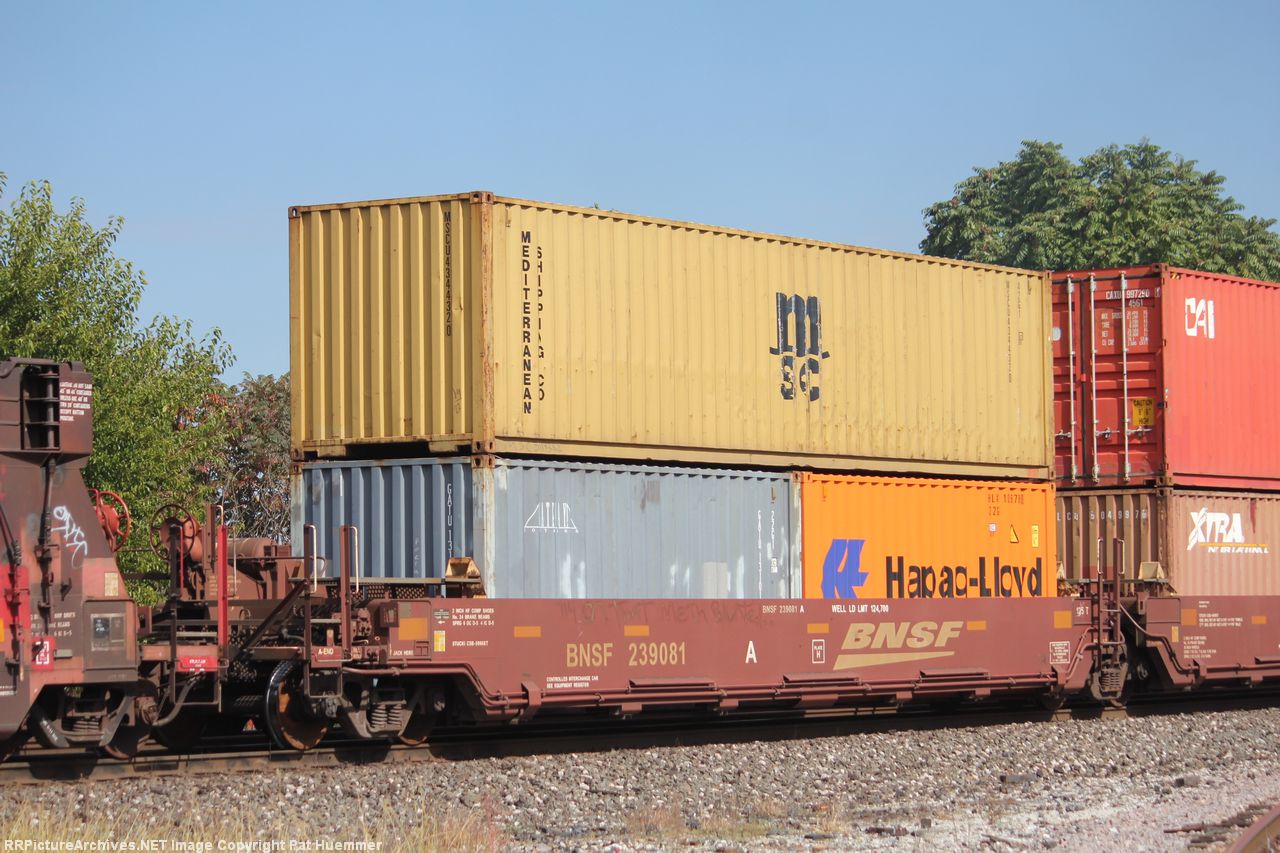 BNSF 239081