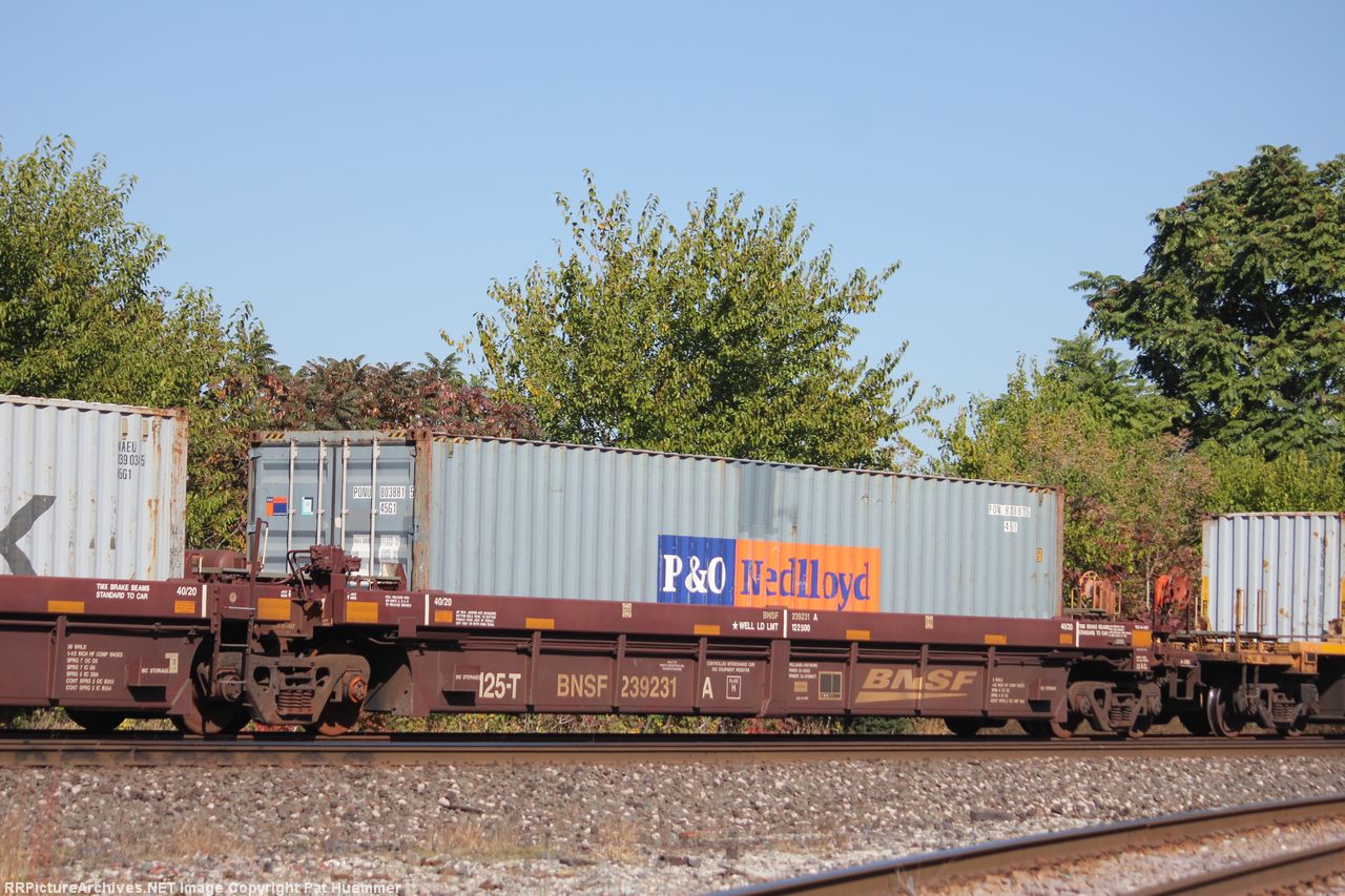 BNSF 239231