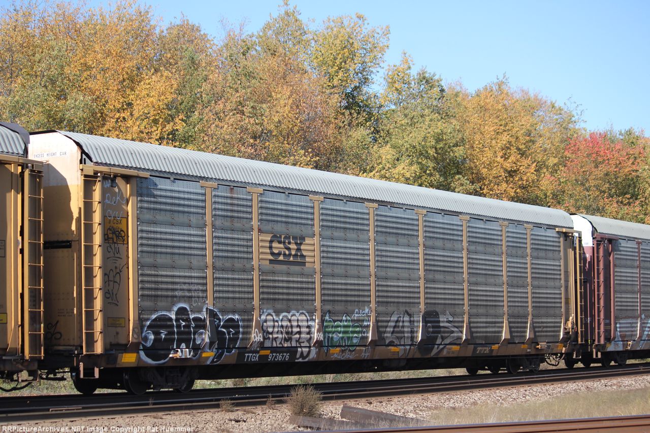 TTGX 973676