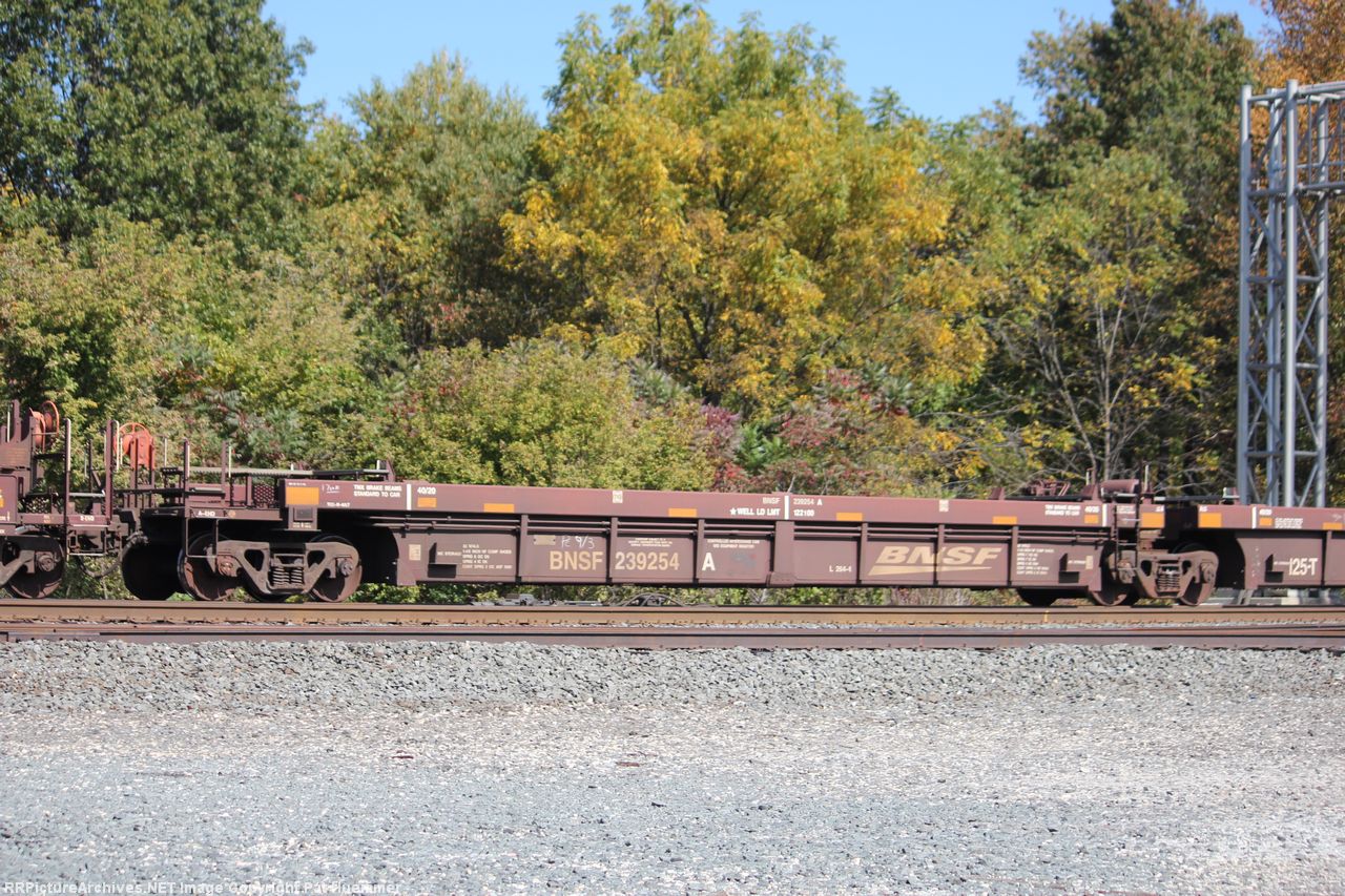 BNSF 239254