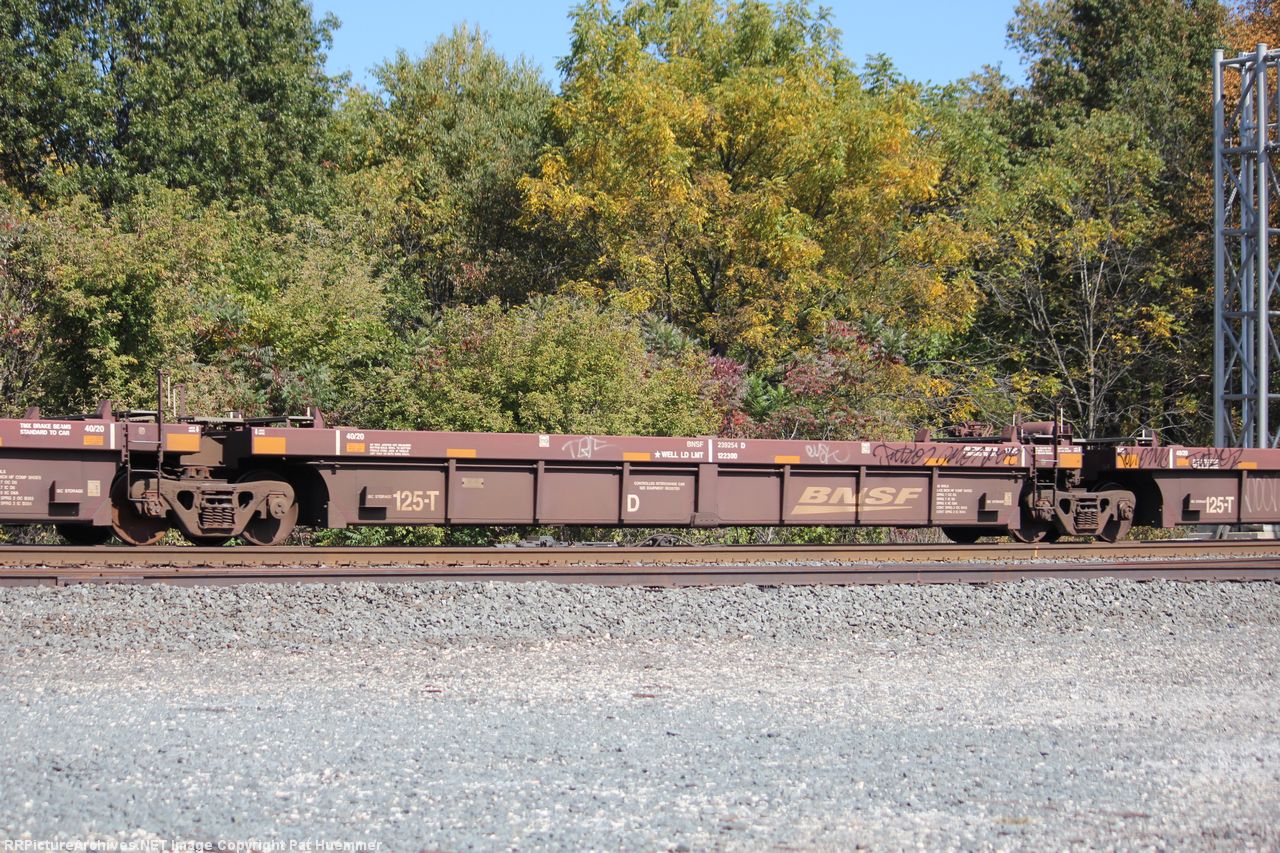 BNSF 239254