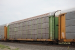 TTGX 154926