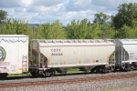 COOX 804466