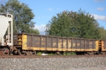 GONX 310243