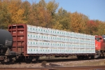 IC 977193