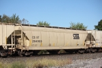 CSX 254999