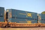 DTTX 729581
