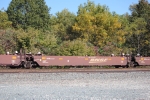 BNSF 238495