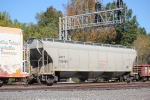CHTT 720490