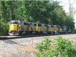 NS 51Q