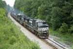 NS 810