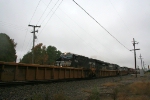 NS V18