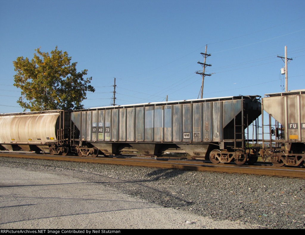 GCCX 174272