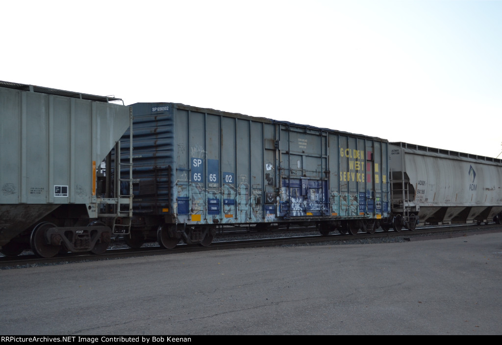 SP 656502