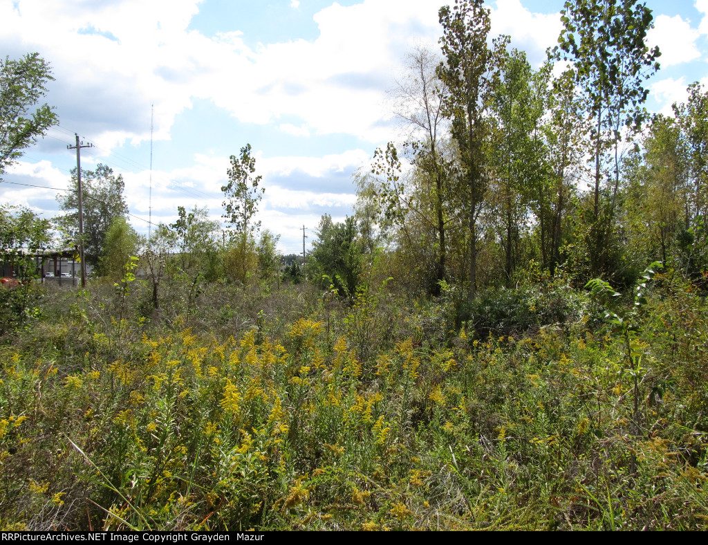 National Fire Works plant