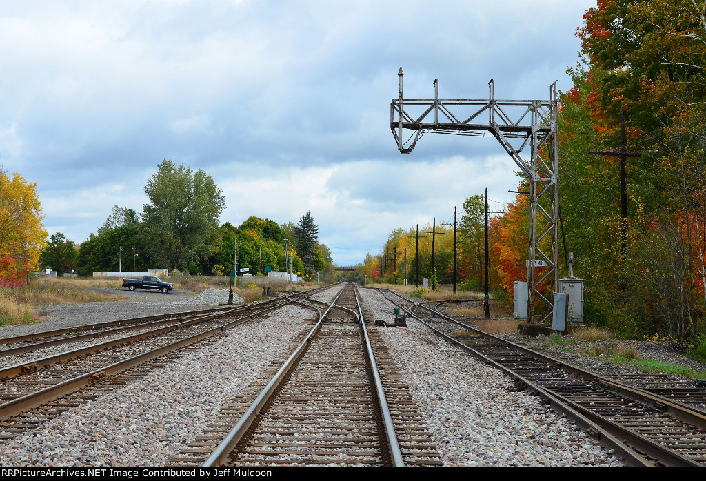 Thank goodness turkeys cook by themselves! as this Thanksgiving Day in Canada!