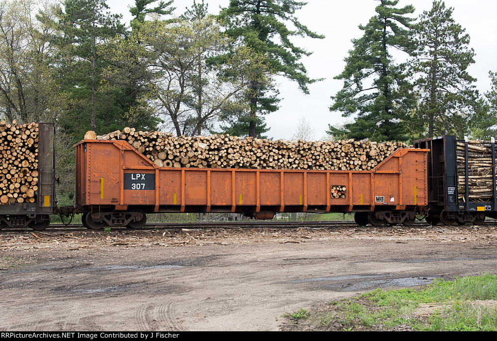 LPX 307