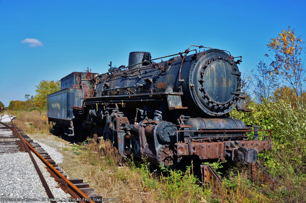 Would you like to help save her?