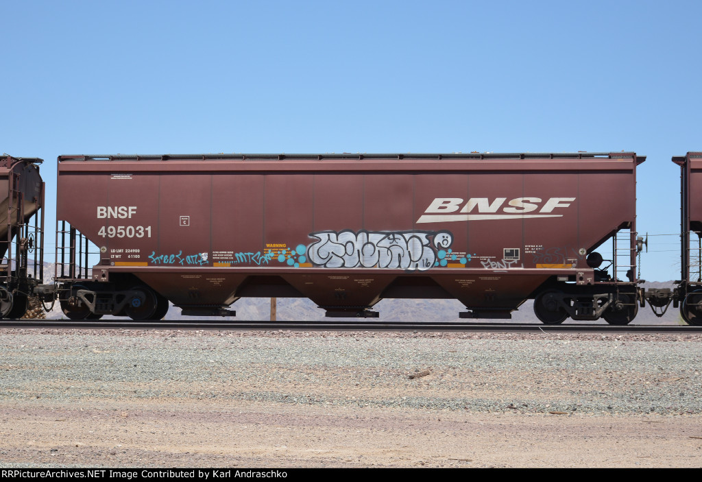 BNSF 495031